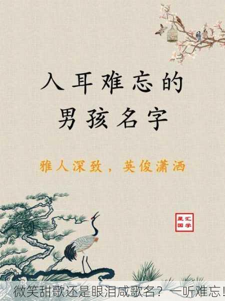 微笑甜歌还是眼泪咸歌名？一听难忘！