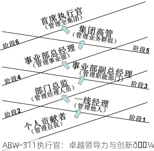 ABW-311执行官：卓越领导力与创新💼