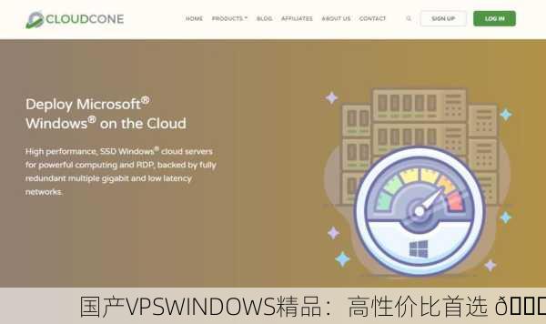 国产VPSWINDOWS精品：高性价比首选 🌟