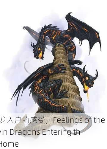 双龙入户的感受，Feelings of the Twin Dragons Entering the Home