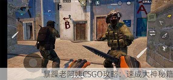 暴躁老阿姨CSGO攻略：速成大神秘籍