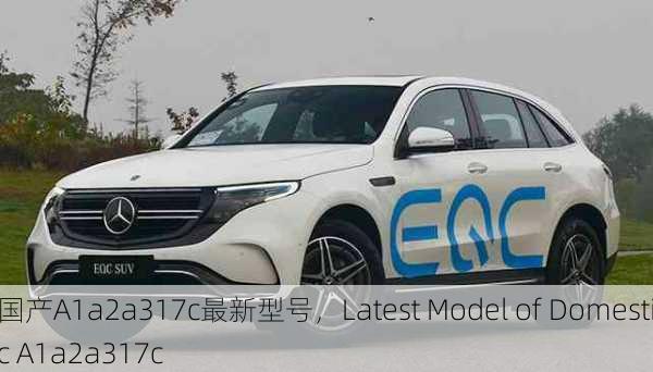 国产A1a2a317c最新型号，Latest Model of Domestic A1a2a317c