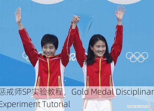 金牌惩戒师SP实验教程，Gold Medal Disciplinary SP Experiment Tutorial