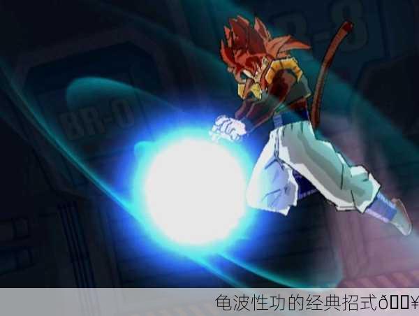 龟波性功的经典招式💥