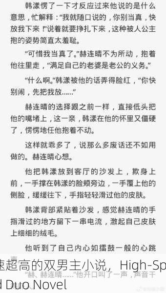 车速超高的双男主小说，High-Speed Duo Novel