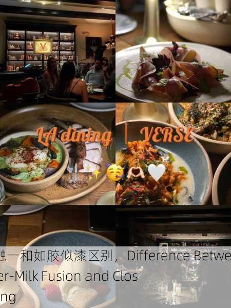 水乳交融一和如胶似漆区别，Difference Between Water-Milk Fusion and Close Bonding