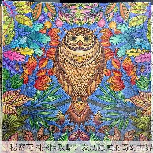 秘密花园探险攻略：发现隐藏的奇幻世界