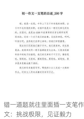 错一道题就往里面插一支笔作文：挑战极限，见证毅力