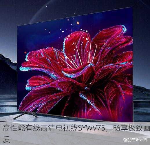 高性能有线高清电视线SYWV75，畅享极致画质