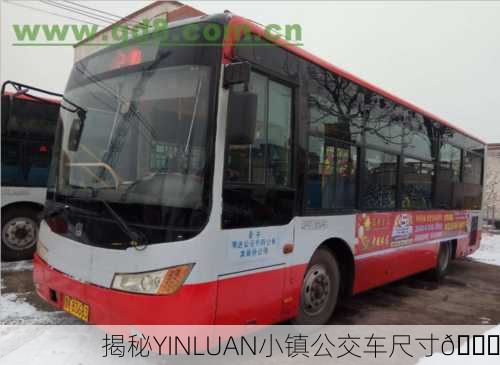 揭秘YINLUAN小镇公交车尺寸🚍
