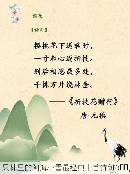 果林里的阿海小雪最经典十首诗句🌸