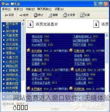 网站免费进入窗口软件：无缝体验🚀