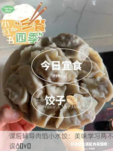 课后辅导肉馅小水饺：美味学习两不误🥟
