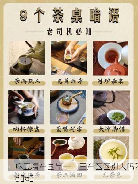 麻豆精产国品一二三产区区别大吗？🤔