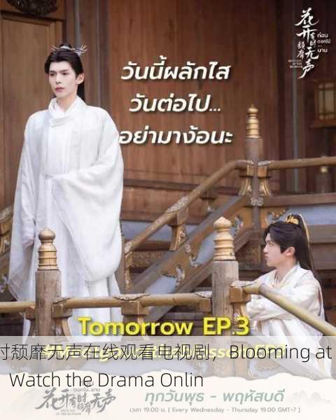 花开有时颓靡无声在线观看电视剧，Blooming at Times： Watch the Drama Online