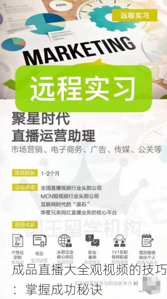 成品直播大全观视频的技巧：掌握成功秘诀