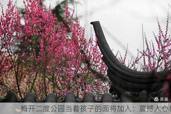 梅开二度公园当着孩子的面将加入：震撼人心！