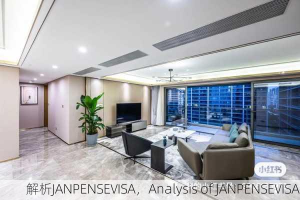 解析JANPENSEVISA，Analysis of JANPENSEVISA