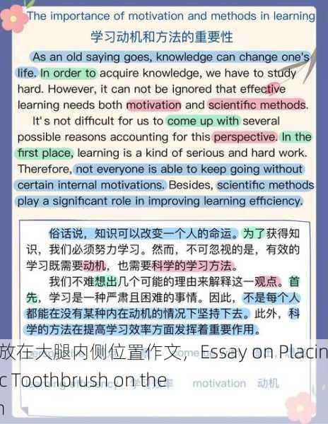 用电动牙刷放在大腿内侧位置作文，Essay on Placing an Electric Toothbrush on the Inner Thigh