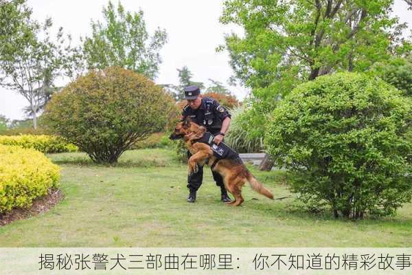 揭秘张警犬三部曲在哪里：你不知道的精彩故事