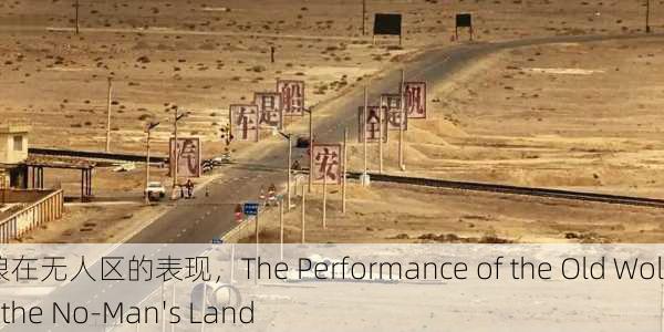 老狼在无人区的表现，The Performance of the Old Wolf in the No-Man's Land