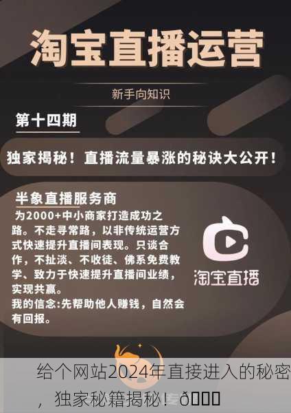 给个网站2024年直接进入的秘密，独家秘籍揭秘！🔑