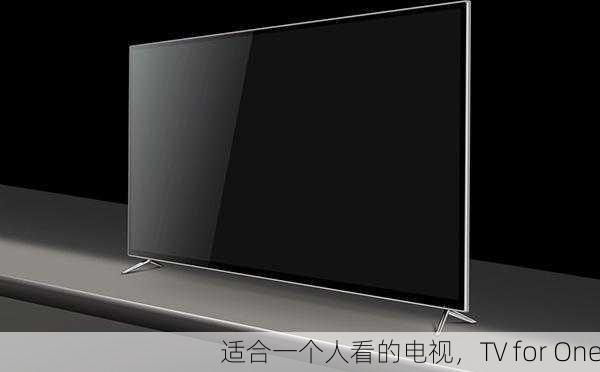 适合一个人看的电视，TV for One