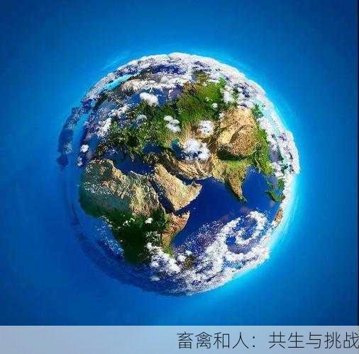 畜禽和人：共生与挑战
