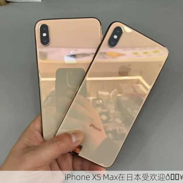 iPhone XS Max在日本受欢迎🔥