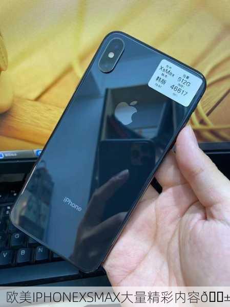 欧美IPHONEXSMAX大量精彩内容📱