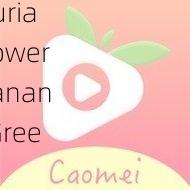 草莓榴莲向日葵秋葵香蕉免费绿巨人，Strawberry Durian Sunflower Okra Banana Free Green Giant