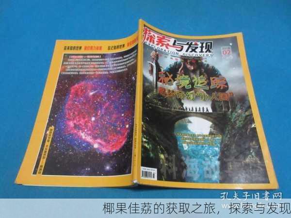 椰果佳荔的获取之旅，探索与发现