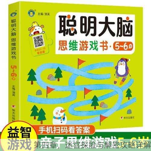 第四章，迷宫探险与解密攻略详解