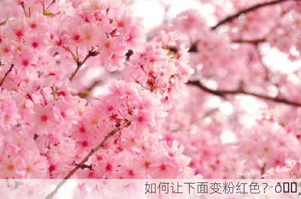 如何让下面变粉红色？🌸