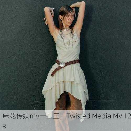麻花传媒mv一二三，Twisted Media MV 123