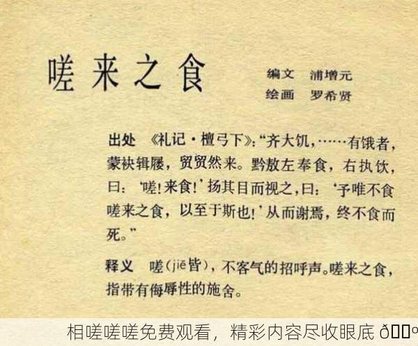 相嗟嗟嗟免费观看，精彩内容尽收眼底 📺