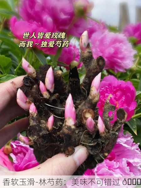 香软玉滑-林芍药：美味不可错过 🍜