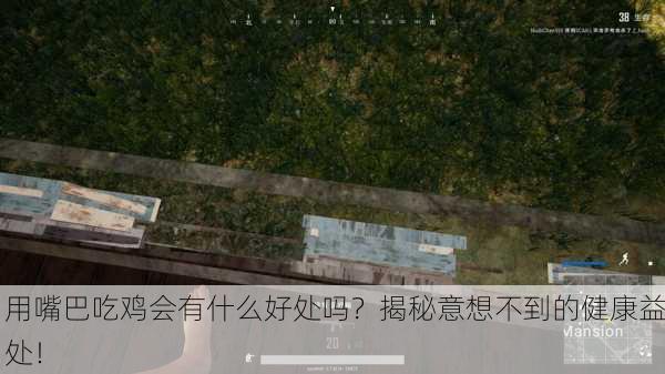 用嘴巴吃鸡会有什么好处吗？揭秘意想不到的健康益处！