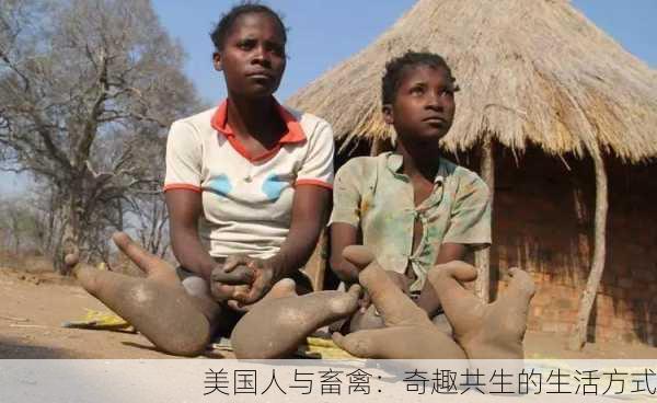 美国人与畜禽：奇趣共生的生活方式