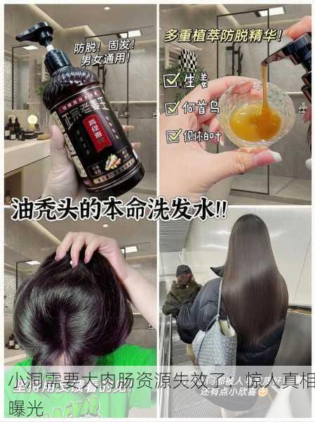 小洞需要大肉肠资源失效了：惊人真相曝光