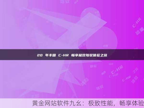 黄金网站软件九幺：极致性能，畅享体验