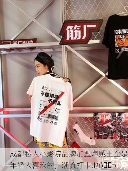 成都私人小影院品牌加盟海贼王全是年轻人喜欢的，潮流打卡地🎬