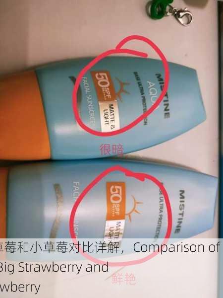 蜜丝婷大草莓和小草莓对比详解，Comparison of Miss Ting Big Strawberry and Small Strawberry