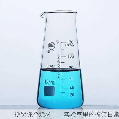 抄哭你个烧杯＂：实验室里的搞笑日常