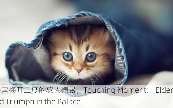 老人二进宫梅开二度的感人情景，Touching Moment： Elder's Second Triumph in the Palace