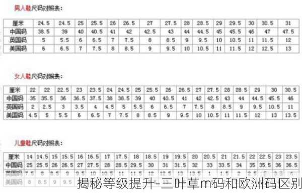 揭秘等级提升-三叶草m码和欧洲码区别