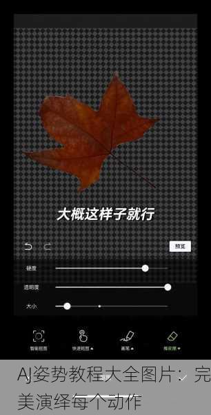 AJ姿势教程大全图片：完美演绎每个动作