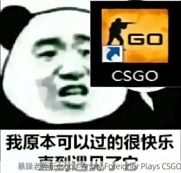 暴躁老外玩csgo，Angry Foreigner Plays CSGO