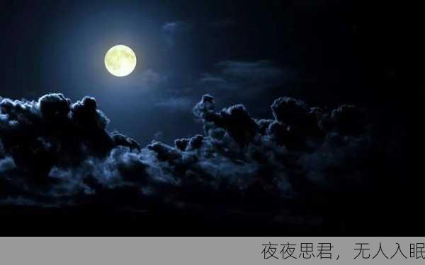 夜夜思君，无人入眠