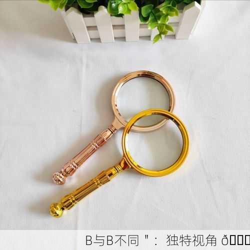 B与B不同＂：独特视角 🔍